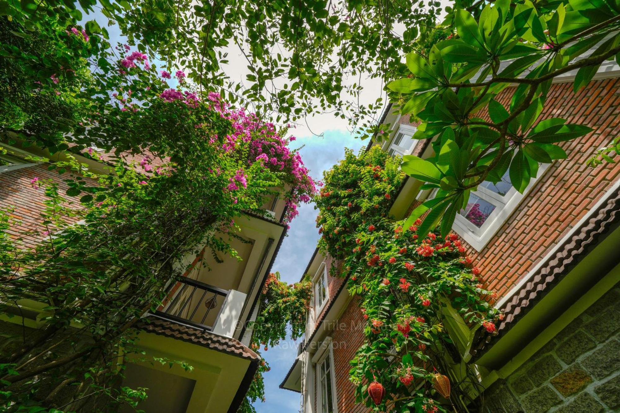 Blooms Boutique Village Hoi An Bagian luar foto